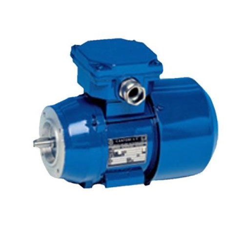 Elektrim Cantoni IE1 Motor